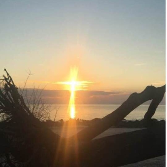 Meet your Posher, Robin - Picture 1 of 1